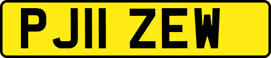 PJ11ZEW