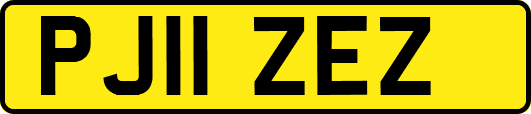 PJ11ZEZ