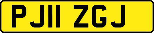 PJ11ZGJ