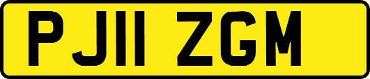 PJ11ZGM