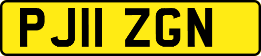 PJ11ZGN