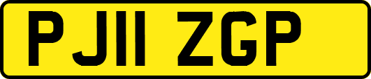 PJ11ZGP