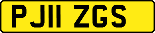 PJ11ZGS