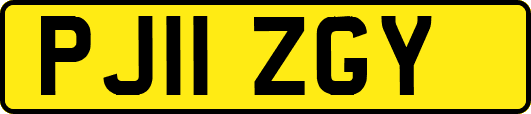 PJ11ZGY