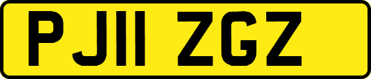 PJ11ZGZ