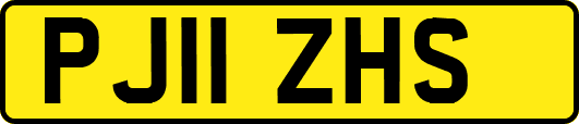 PJ11ZHS