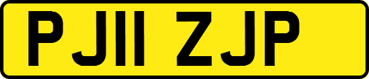 PJ11ZJP