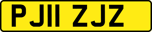 PJ11ZJZ