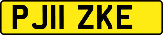PJ11ZKE
