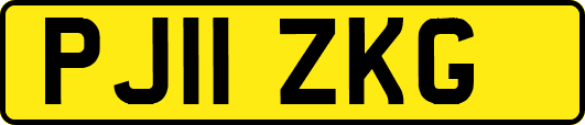 PJ11ZKG