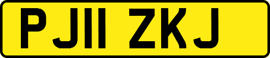 PJ11ZKJ