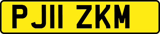 PJ11ZKM