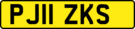 PJ11ZKS