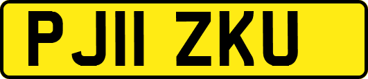 PJ11ZKU