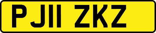 PJ11ZKZ