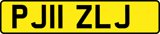PJ11ZLJ