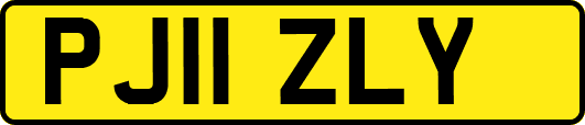 PJ11ZLY