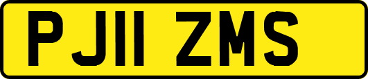 PJ11ZMS
