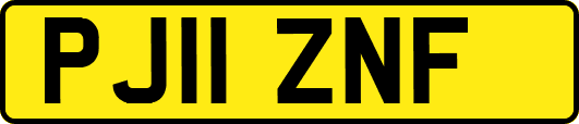 PJ11ZNF