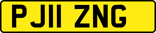 PJ11ZNG