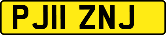 PJ11ZNJ
