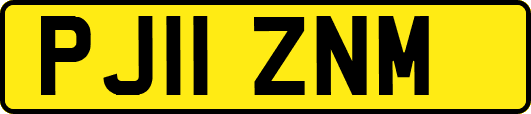 PJ11ZNM
