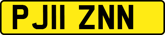 PJ11ZNN