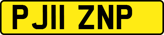 PJ11ZNP
