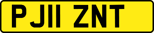 PJ11ZNT