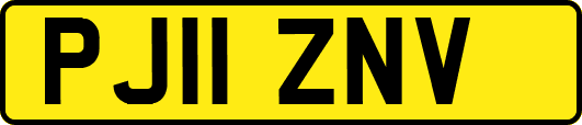 PJ11ZNV