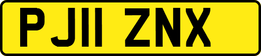 PJ11ZNX