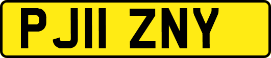 PJ11ZNY