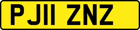 PJ11ZNZ