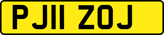 PJ11ZOJ