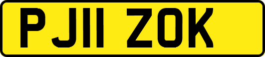 PJ11ZOK