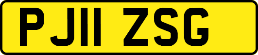 PJ11ZSG