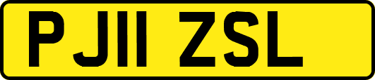 PJ11ZSL