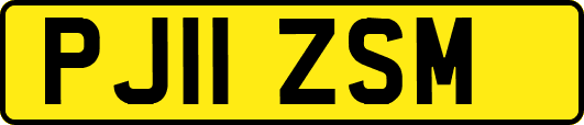 PJ11ZSM
