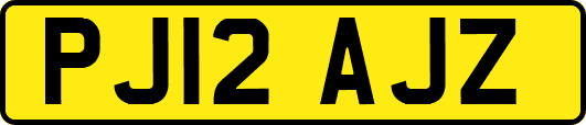 PJ12AJZ