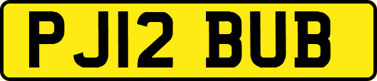 PJ12BUB