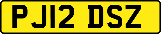 PJ12DSZ