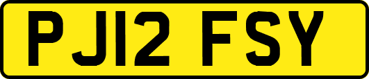 PJ12FSY