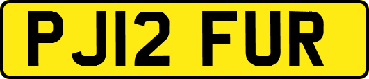 PJ12FUR