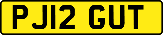 PJ12GUT