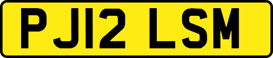 PJ12LSM