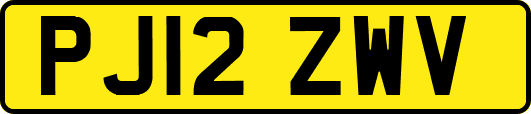 PJ12ZWV