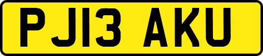 PJ13AKU