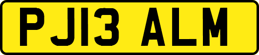 PJ13ALM