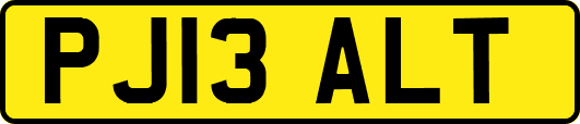 PJ13ALT