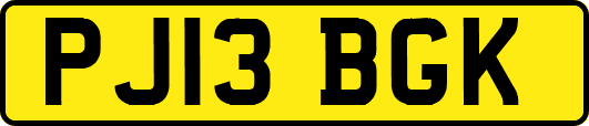 PJ13BGK